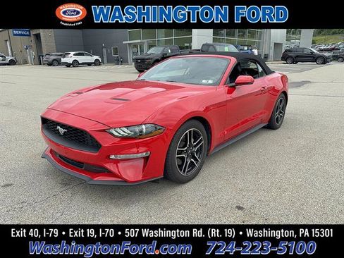Used 2019 Ford Mustang Premium RWD image 1