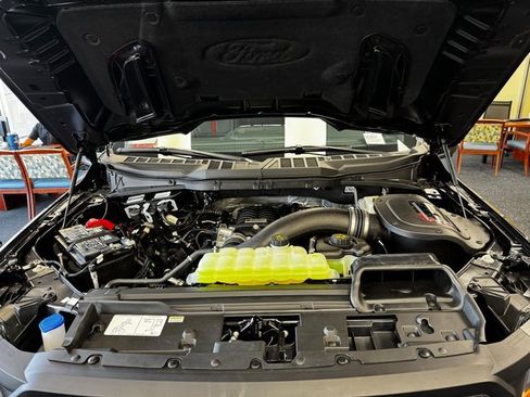 New 2025 Ford F150 XLT w/ Equipment Group 302A MID image 14