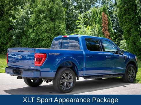 Used 2023 Ford F150 XLT w/ Equipment Group 302A High AWD/4WD image 5