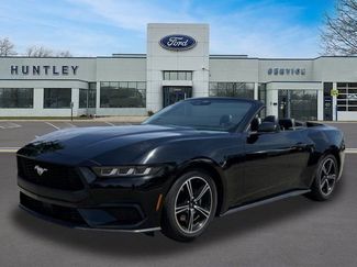Used 2024 Ford Mustang Premium RWD video 1