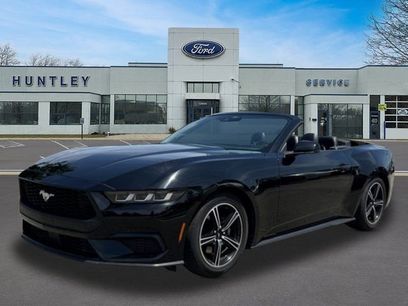 Used 2024 Ford Mustang Premium