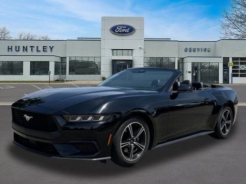 Used 2024 Ford Mustang Premium RWD image 1