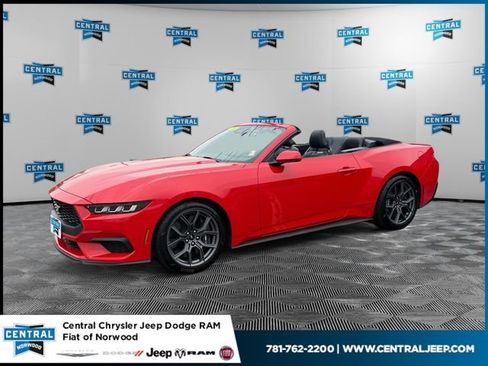 Used 2024 Ford Mustang Premium w/ 2.3L High Performance Package RWD image 1