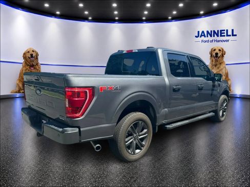 Used 2023 Ford F150 XLT w/ Equipment Group 302A High AWD/4WD image 6