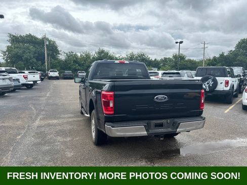 Used 2023 Ford F150 XLT w/ Equipment Group 301A Mid RWD image 4