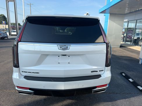 Used 2023 Cadillac Escalade Premium Luxury AWD/4WD image 5
