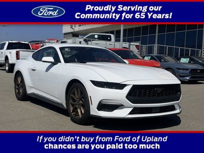 Used 2025 Ford Mustang Premium