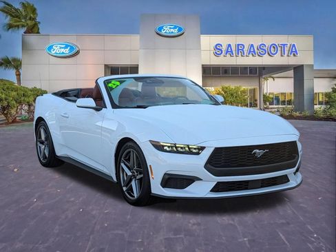 Used 2025 Ford Mustang Premium image 1