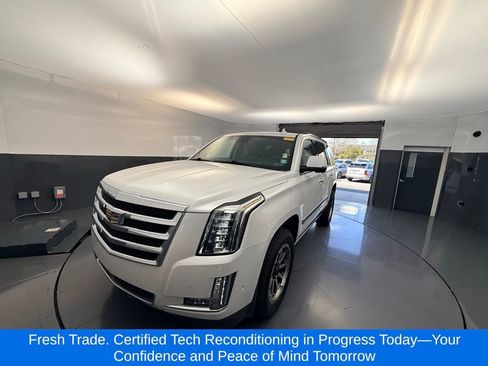 Used 2019 Cadillac Escalade Premium Luxury image 1