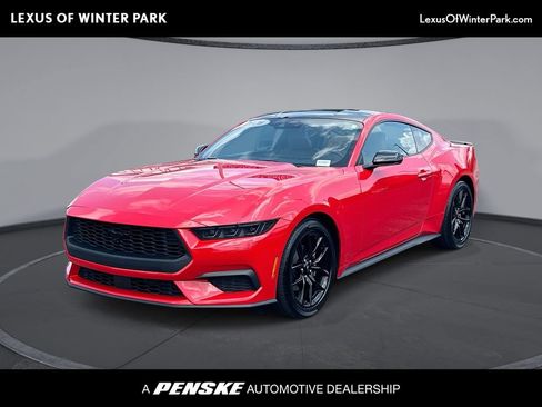 Used 2026 Ford Mustang Coupe w/ Mustang Nite Pony Package RWD image 1