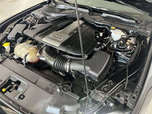 Used 2019 Ford Mustang GT w/ Equipment Group 301A RWD image 12