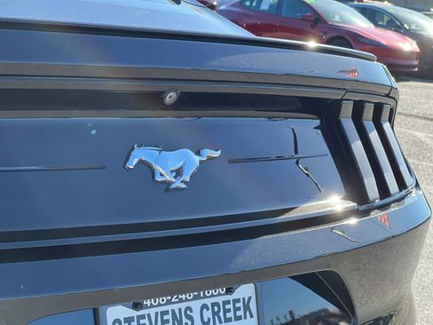 Used 2019 Ford Mustang Coupe w/ Equipment Group 101A image 25