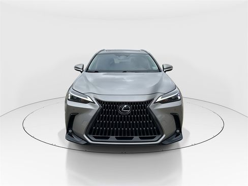Used 2025 Lexus NX 250 250 Premium image 3