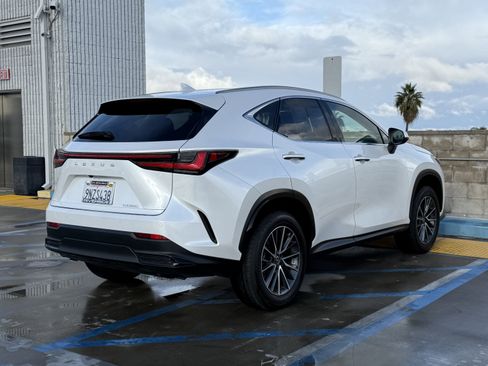 Certified 2025 Lexus NX 250 250 Premium image 11