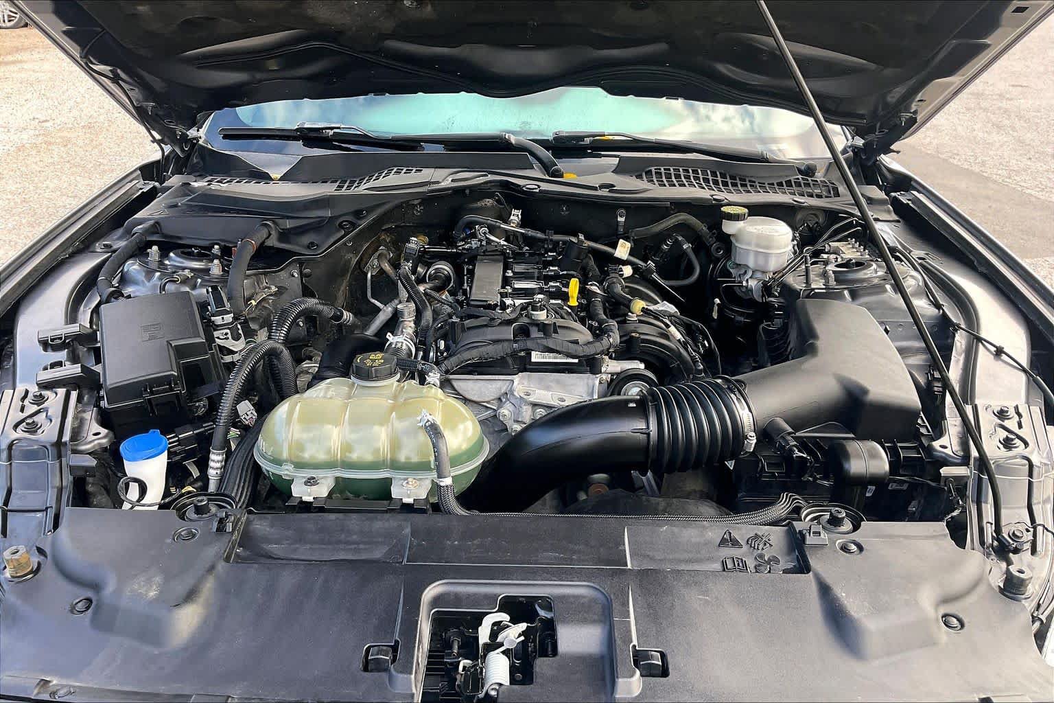Used 2021 Ford Mustang Coupe w/ Equipment Group 101A RWD image 31