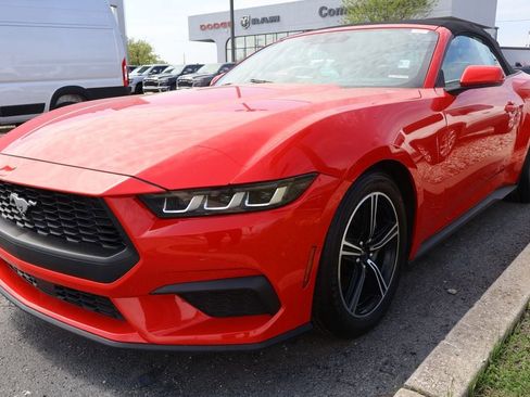 Used 2024 Ford Mustang Premium RWD image 2