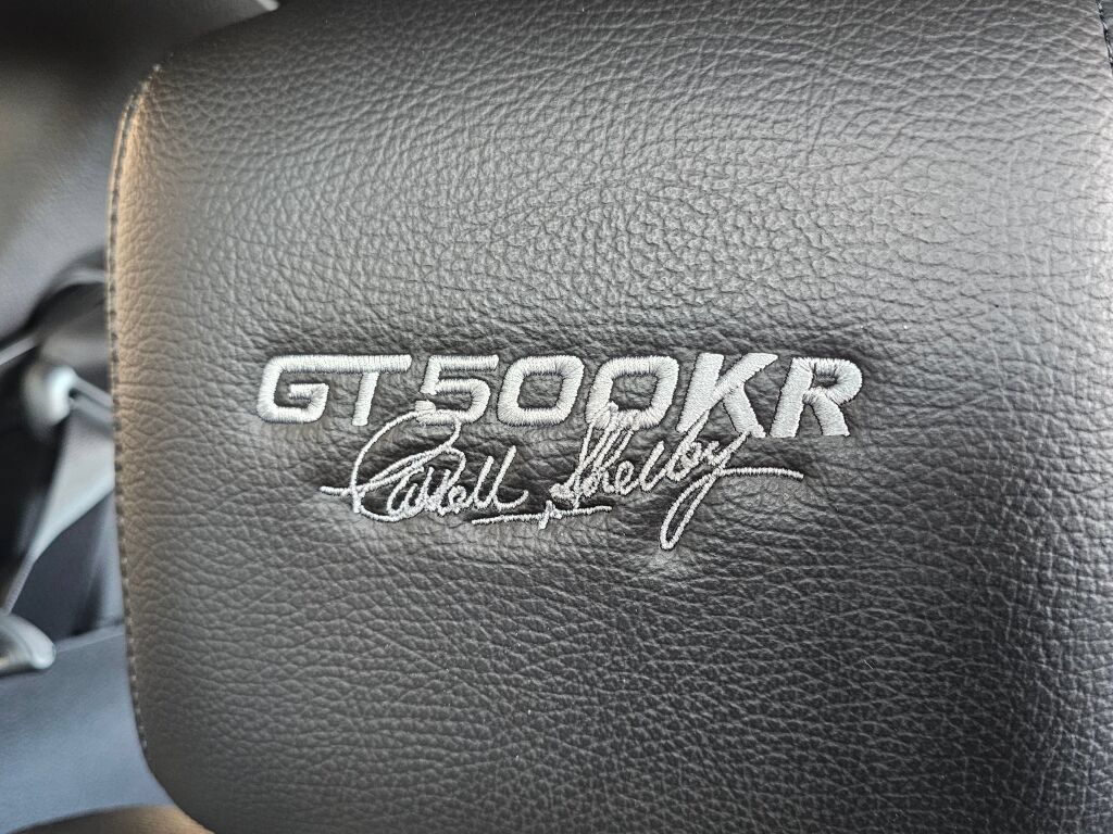 Used 2009 Ford Mustang Shelby GT500 RWD image 28