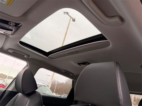 New 2026 Kia Seltos EX image 13