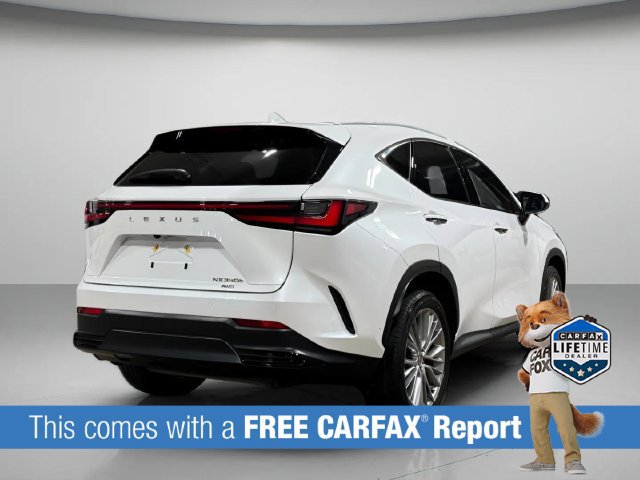 Certified 2025 Lexus NX 350h AWD w/ Cold Area Package image 4