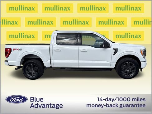 Used 2023 Ford F150 XLT w/ Equipment Group 302A High image 2
