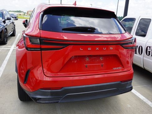Used 2024 Lexus NX 250 FWD image 5