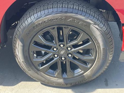 Used 2025 Ford F150 XLT w/ Equipment Group 302A MID image 39