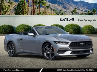 Used 2024 Ford Mustang Premium video 1