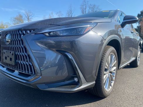 Used 2025 Lexus NX 350h AWD w/ Cold Area Package image 2