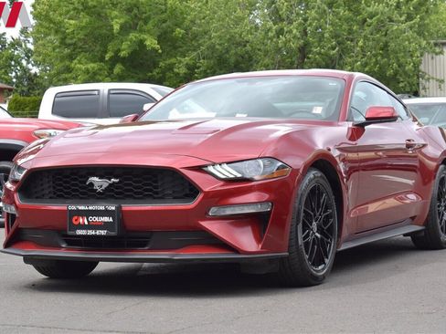 Used 2019 Ford Mustang Coupe w/ Equipment Group 101A image 8
