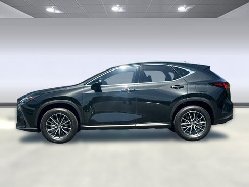 Certified 2025 Lexus NX 350h AWD w/ Cold Area Package image 2