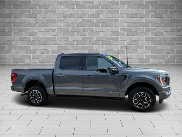 Used 2023 Ford F150 XLT w/ Equipment Group 302A High AWD/4WD image 2