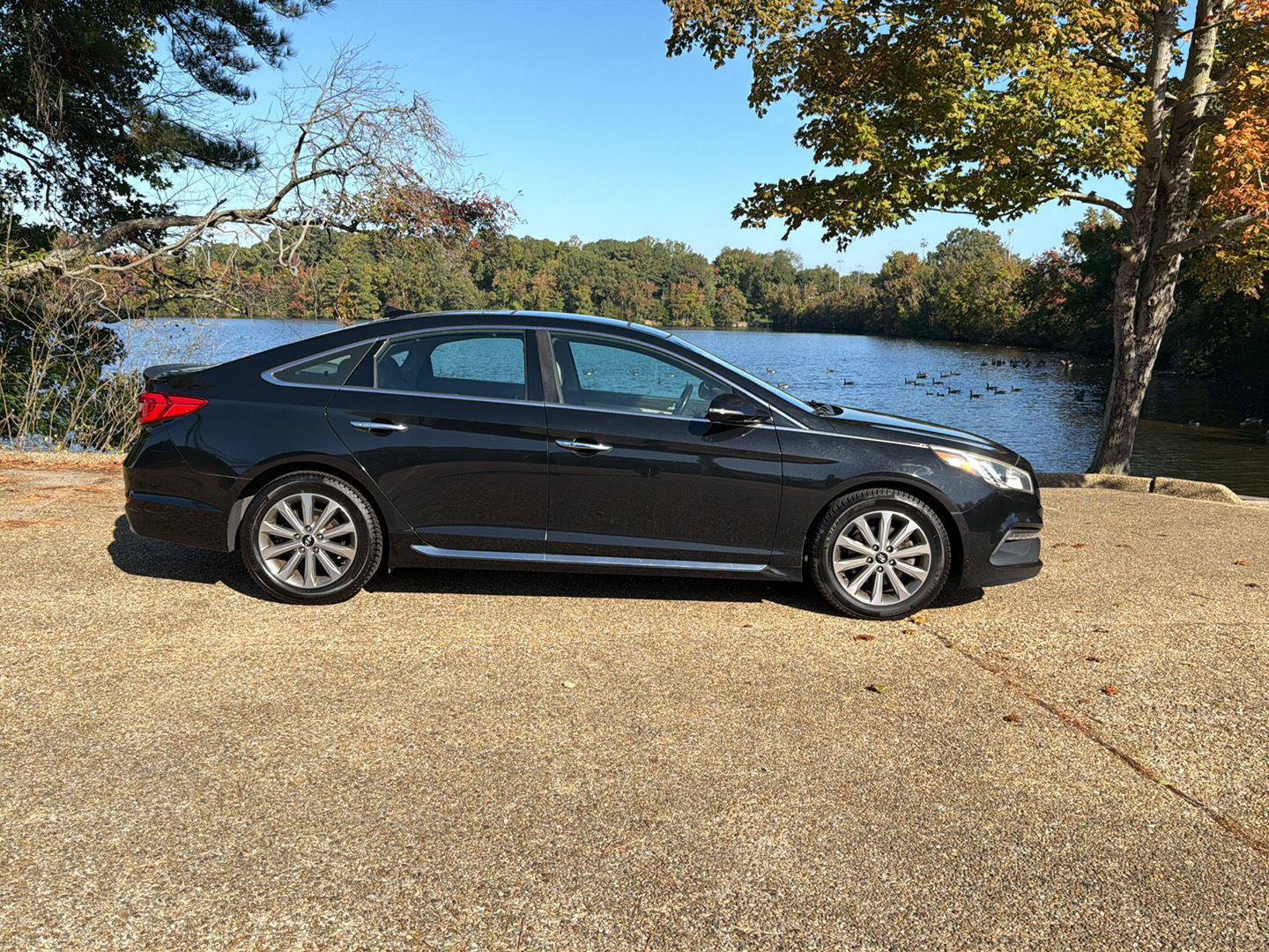Used 2016 Hyundai Sonata Limited w/ Option Group 04 FWD image 3