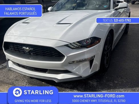 Used 2018 Ford Mustang Premium w/ Equipment Group 201A image 1
