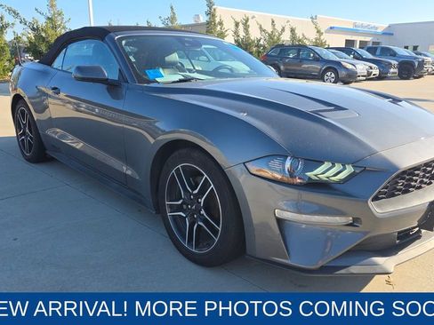 Used 2023 Ford Mustang Premium image 7