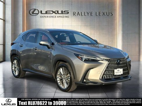 Used 2023 Lexus NX 350 350 Luxury image 1
