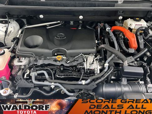 Used 2019 Toyota RAV4 XLE w/ Carpet Mat Package image 13