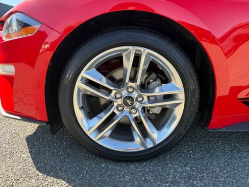 Used 2019 Ford Mustang Premium w/ Equipment Group 201A image 9