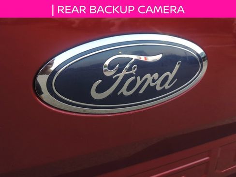 Used 2019 Ford F150 XLT w/ Equipment Group 302A Luxury AWD/4WD image 13