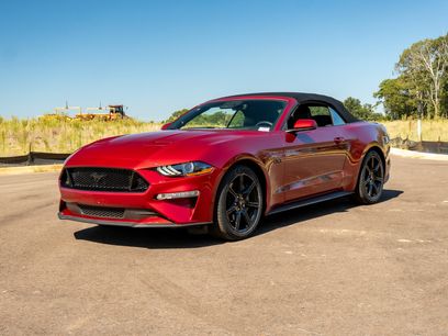 Used 2019 Ford Mustang GT Premium w/ Equipment Group 401A