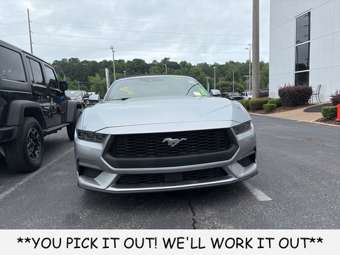Used 2025 Ford Mustang Premium RWD image 2