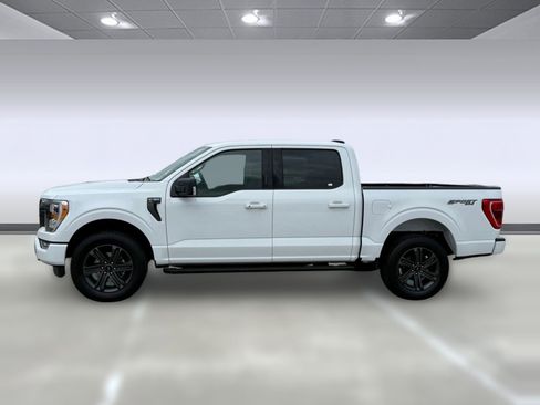 Used 2023 Ford F150 XLT w/ Equipment Group 302A High image 2