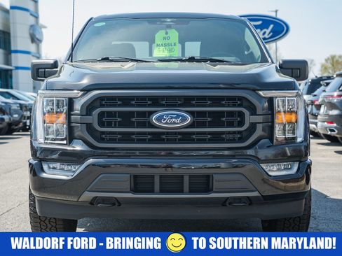 Used 2023 Ford F150 XLT w/ Equipment Group 302A High image 2