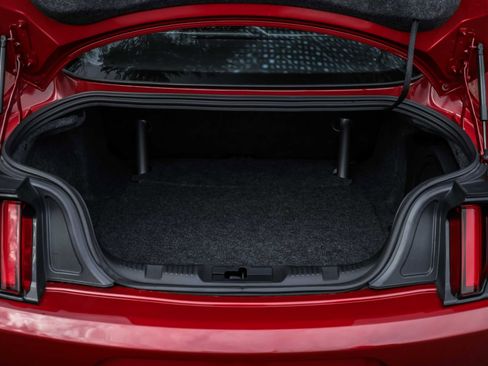 Used 2020 Ford Mustang Shelby GT350R w/ GT350R Equipment Group 920A image 16