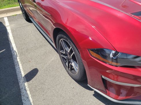 Used 2019 Ford Mustang Premium w/ Equipment Group 201A RWD image 4