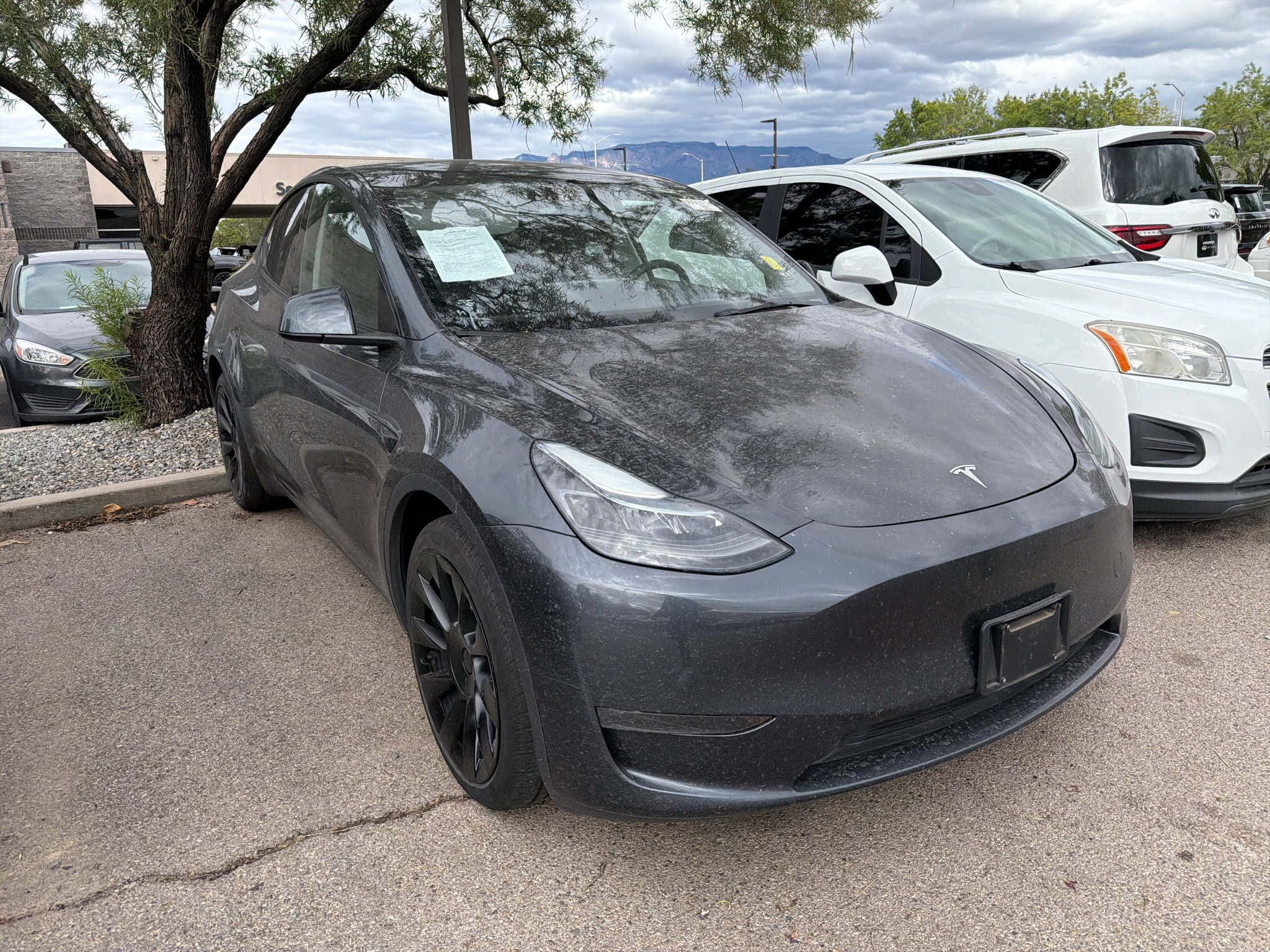 Used 2024 Tesla Model Y Long Range AWD/4WD image 3