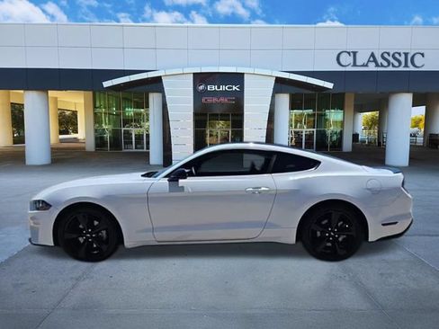 Used 2023 Ford Mustang Premium w/ Mustang Nite Pony Package RWD image 5
