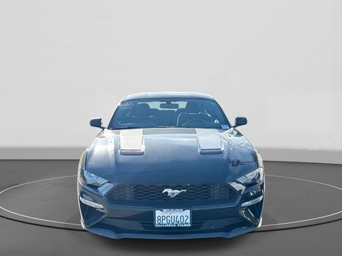 Used 2020 Ford Mustang EcoBoost w/ Equipment Group 101A image 4