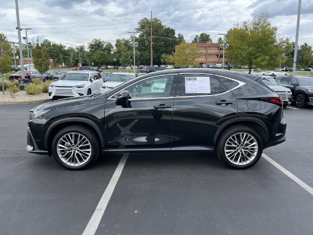 Certified 2025 Lexus NX 350h AWD w/ Cold Area Package image 6