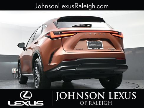 Certified 2025 Lexus NX 350h AWD w/ Cold Area Package image 19