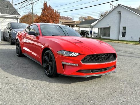Used 2022 Ford Mustang Premium w/ Equipment Group 201A image 7